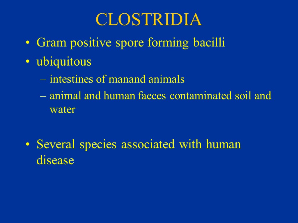 CLOSTRIDIA Gram positive spore forming bacilli ubiquitous intestines of manand animals animal and human